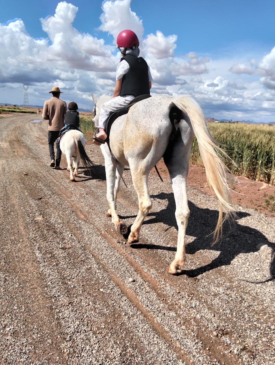 Sunset Horseback Ride in the Palmeraie of Marrakech - Image 7
