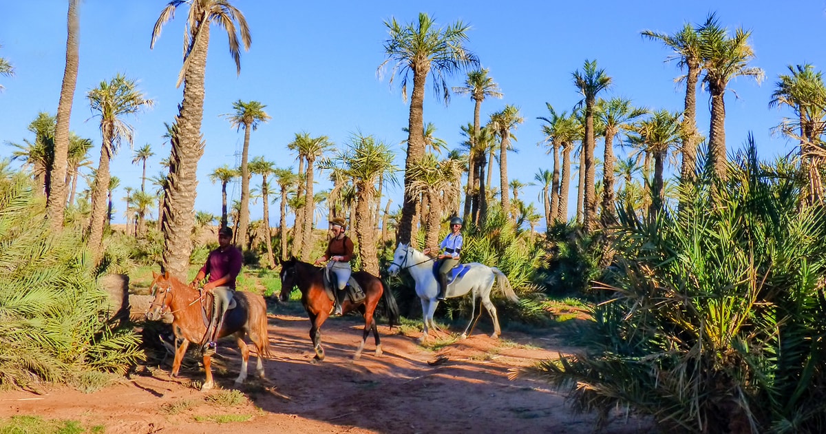 Sunset Horseback Ride in the Palmeraie of Marrakech - Image 6