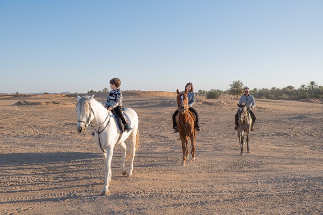 Half-Day Horseback Ride + Lunch in the Palmeraie of Marrakech - Image 7