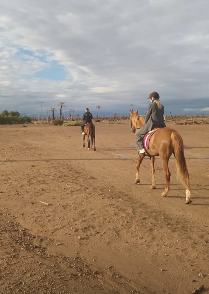 Sunset Horseback Ride in the Palmeraie of Marrakech - Image 4