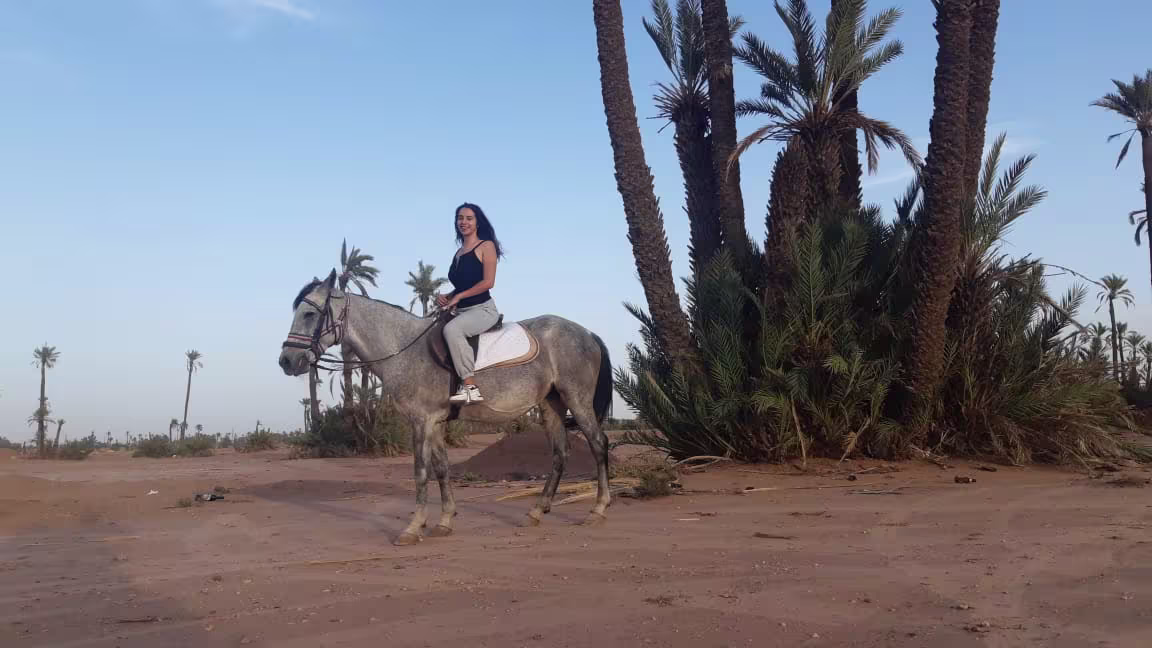 Sunset Horseback Ride in the Palmeraie of Marrakech - Image 3