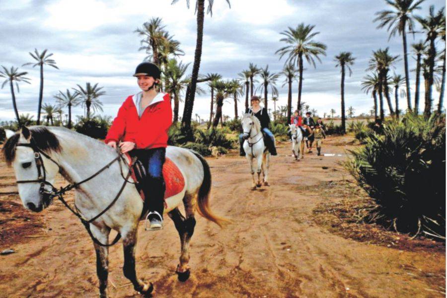 Half-Day Horseback Ride + Lunch in the Palmeraie of Marrakech - Image 2