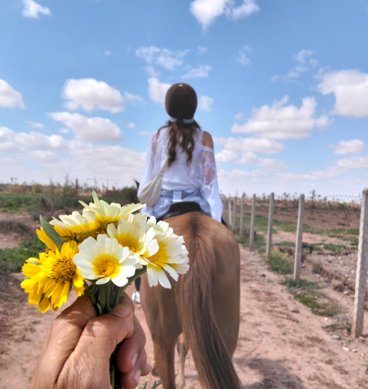 Sunset Horseback Ride in the Palmeraie of Marrakech - Image 1
