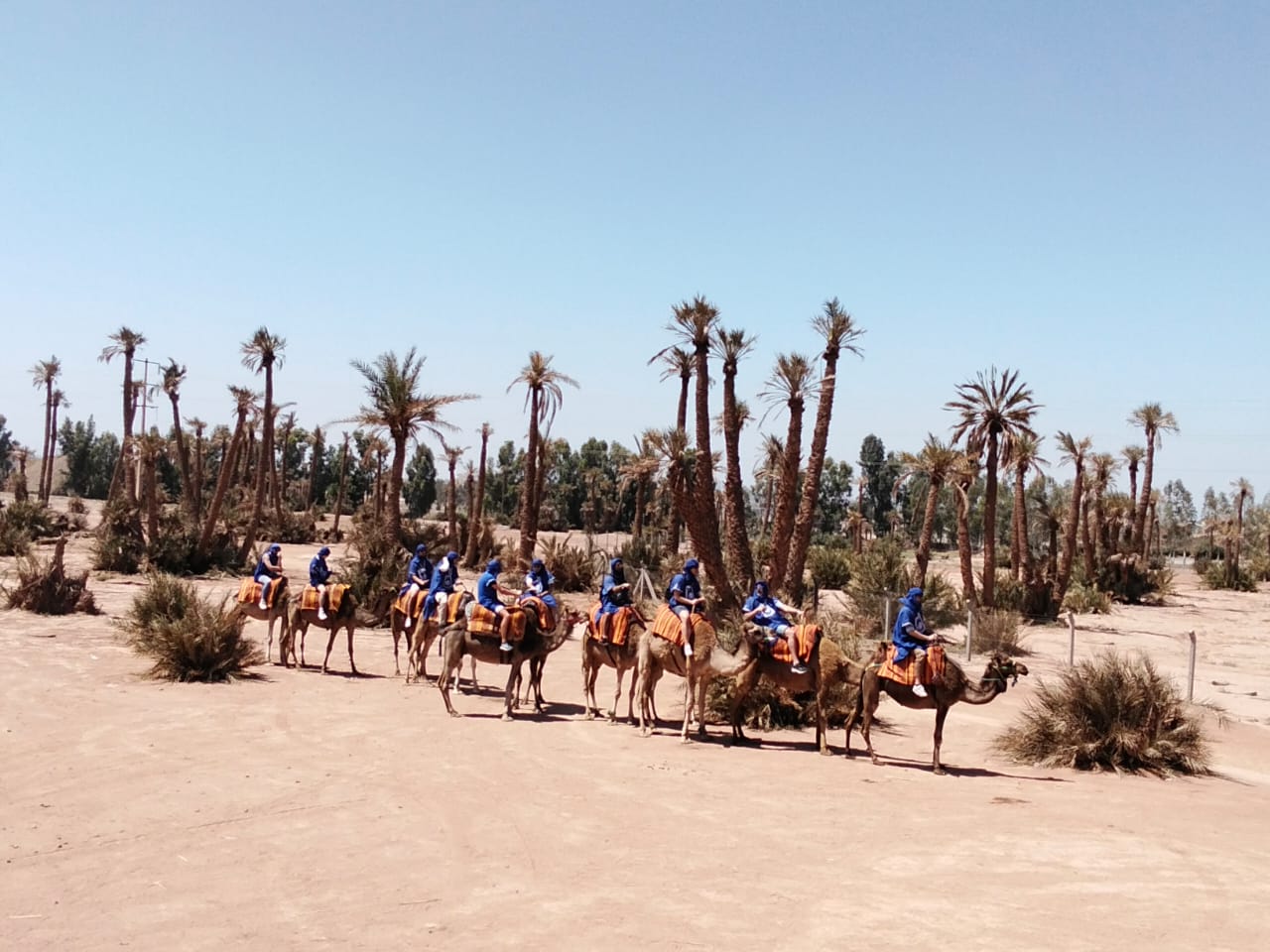 Marrakech Palmeraie Camel Trek Experience - Image 3