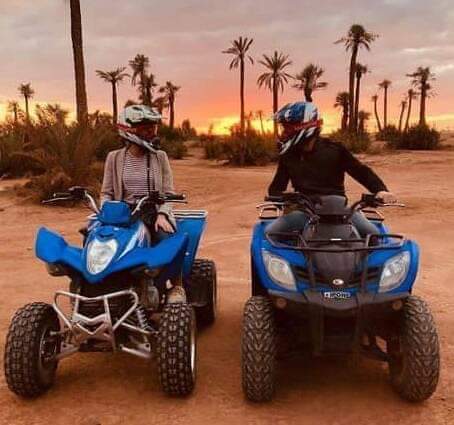 Palmeraie Quad Adventure Express - Image 2