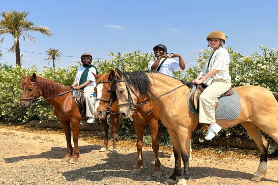 Sunset Horseback Ride in the Palmeraie of Marrakech - Image 2